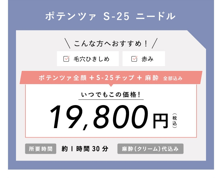 ポテンツァ S-25ニードル 19,800円