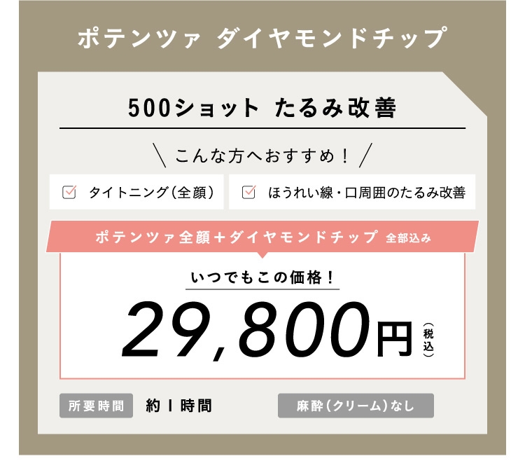 ポテンツァ ダイヤモンドチップ 29,800円